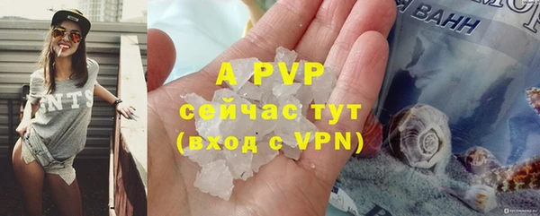 индика Алексин
