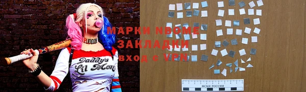 индика Алексин