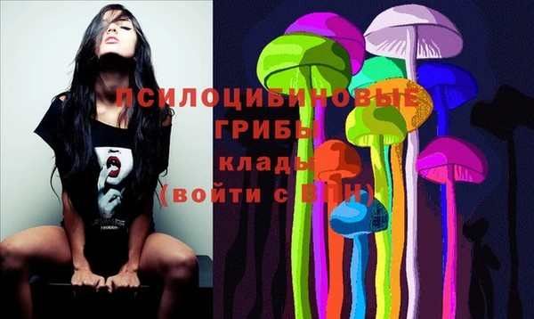 индика Алексин