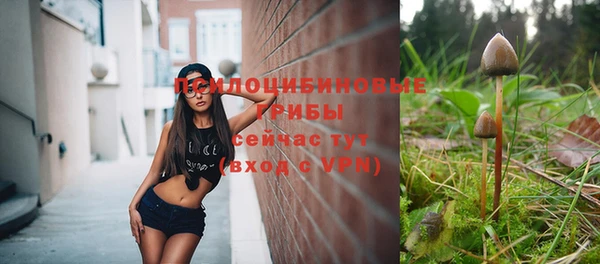 сатива Алексеевка