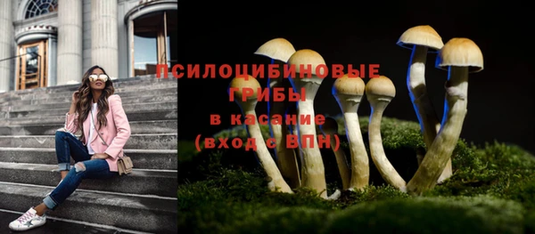 молекула духа Алзамай