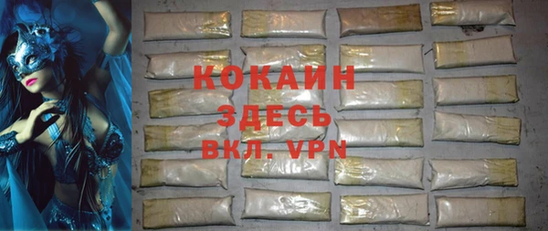индика Алексин