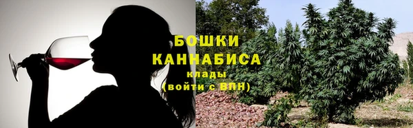 молекула духа Алзамай